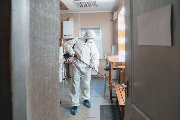 Mold Odor Removal Services