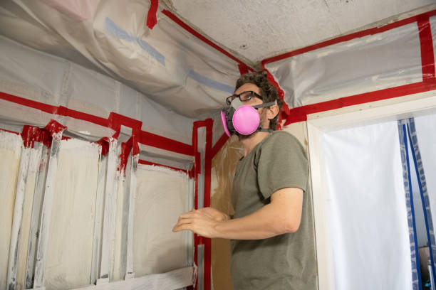 Reliable Hinsdale, IL Mold Inspection, Removal & Remediation Solutions